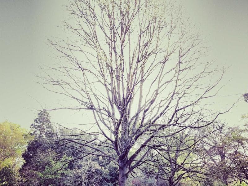 엑셀 데이터 자동화 | 구글시트 연동