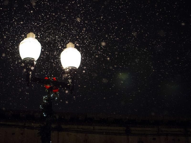 스타트업 "플로우" 공식 홈페이지