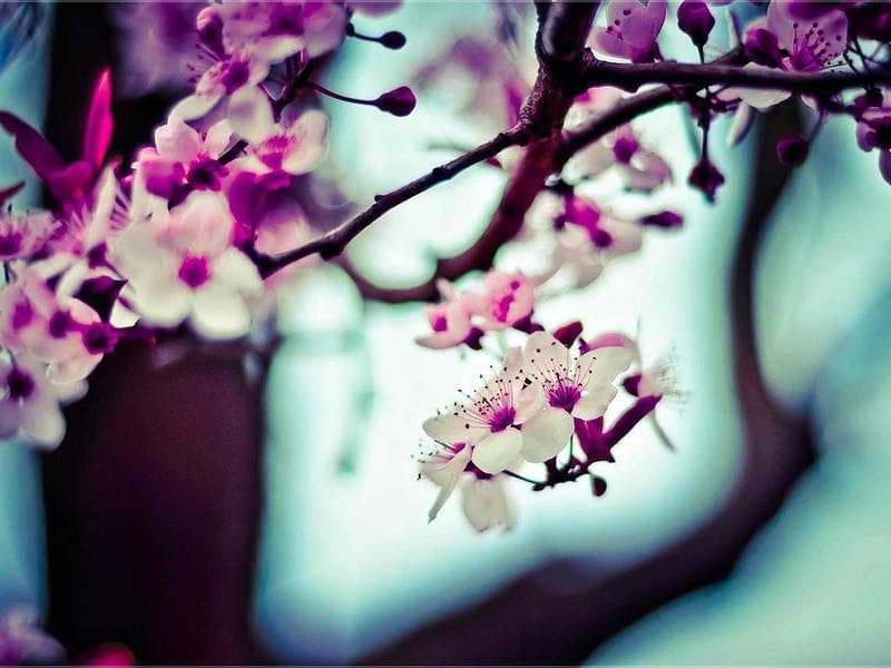 AI 고객상담 챗봇 "헬프미"