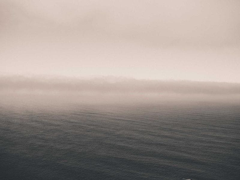 펫시터 매칭 앱 "멍냥케어"