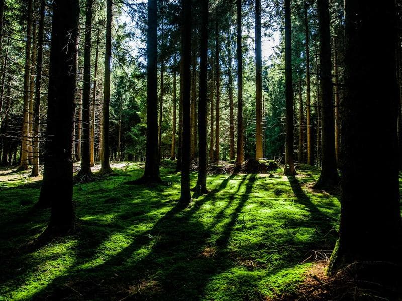 온라인 독서모임 플랫폼 "BookVibe"