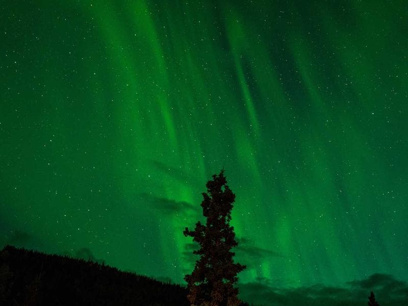 쇼핑몰/이커머스 사이트 구축